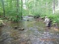 fowlers hollow.Laural run 06-09-14 093